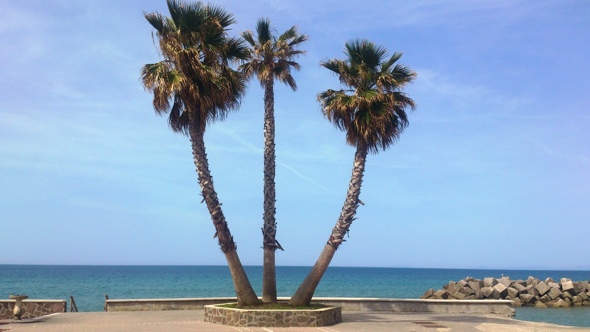 Castellabate At The Sea Hotel San Marco di Castellabate Buitenkant foto